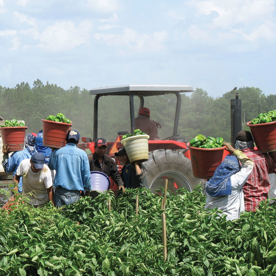 César E. Chávez Scholarship Fund